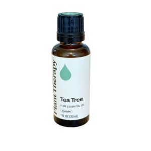Teebaumöl (Melaleuca alternifolia)